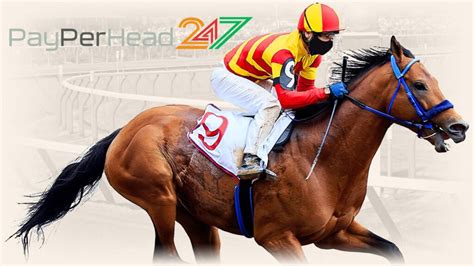 today's early horse racing prices|Home .
